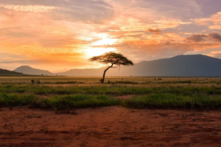 Best Time to Visit Kenya: A Season-by-Season Guide