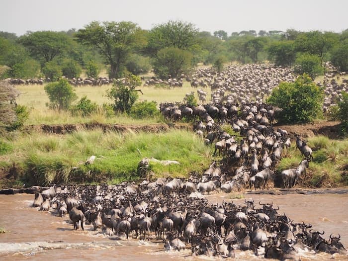 Bumpy Roads and Motion Sickness: What Game Drives Are Really Like