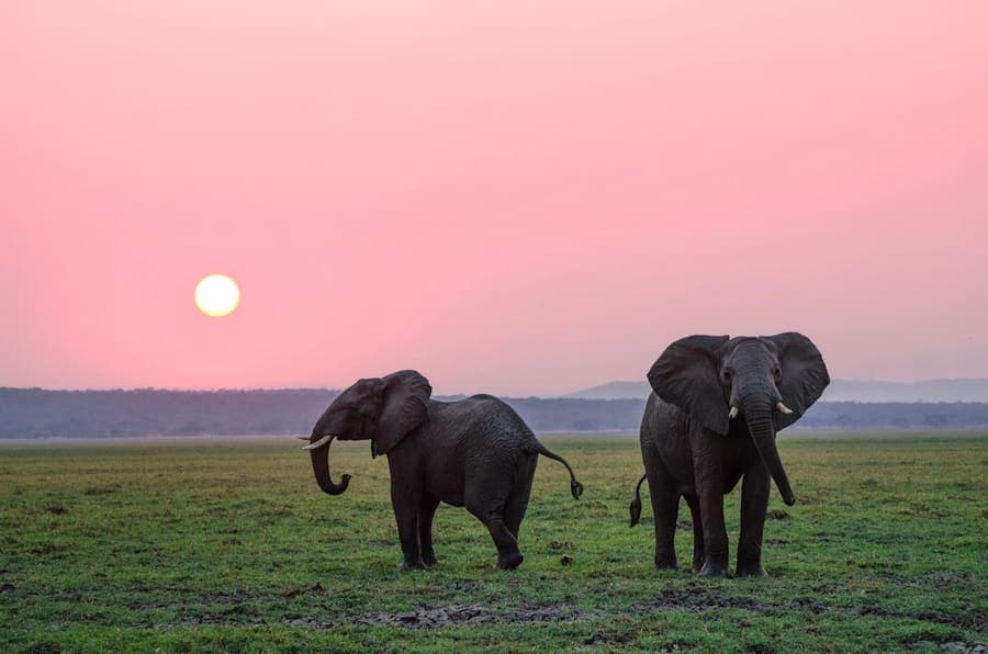 Ranger on patrol in a Kenyan national park