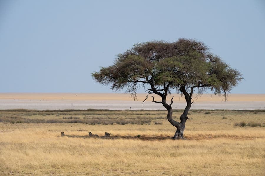 Sunrise over Lake Elementaita and the Maasai Mara