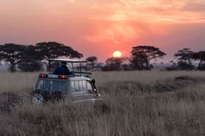 Wildlife & Safari
