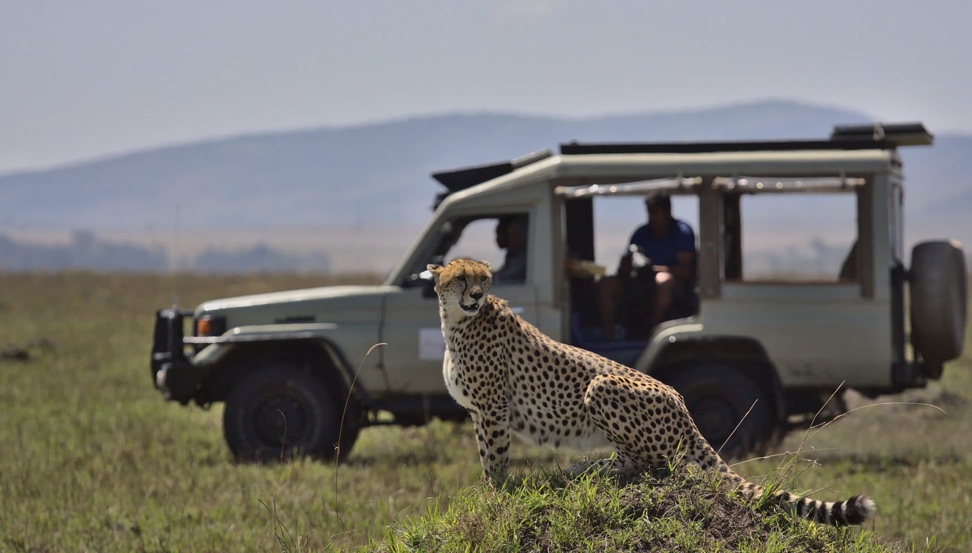 Discover Kenya - safari and wildlife holidays